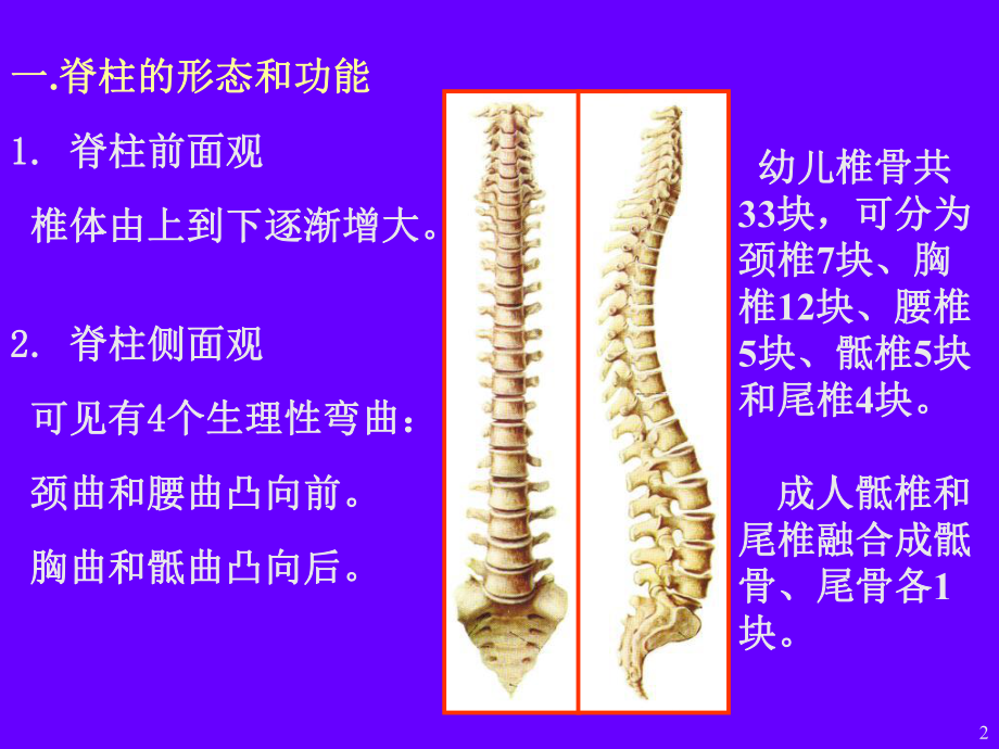 《脊柱疾病的康复》课件.ppt_第2页