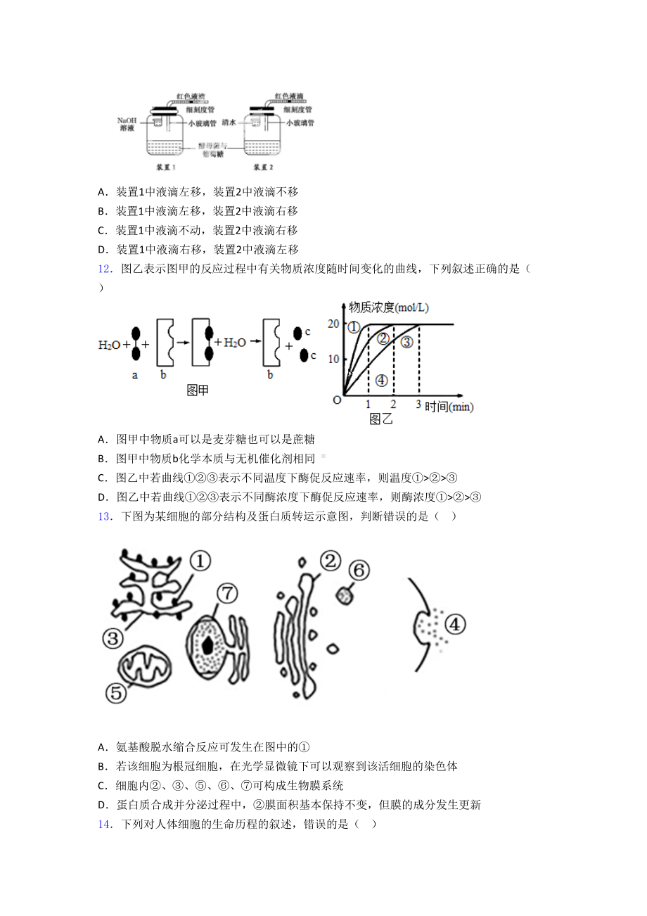 河北某中学高一上学期期末考试生物试卷(含答案)(DOC 24页).doc_第3页