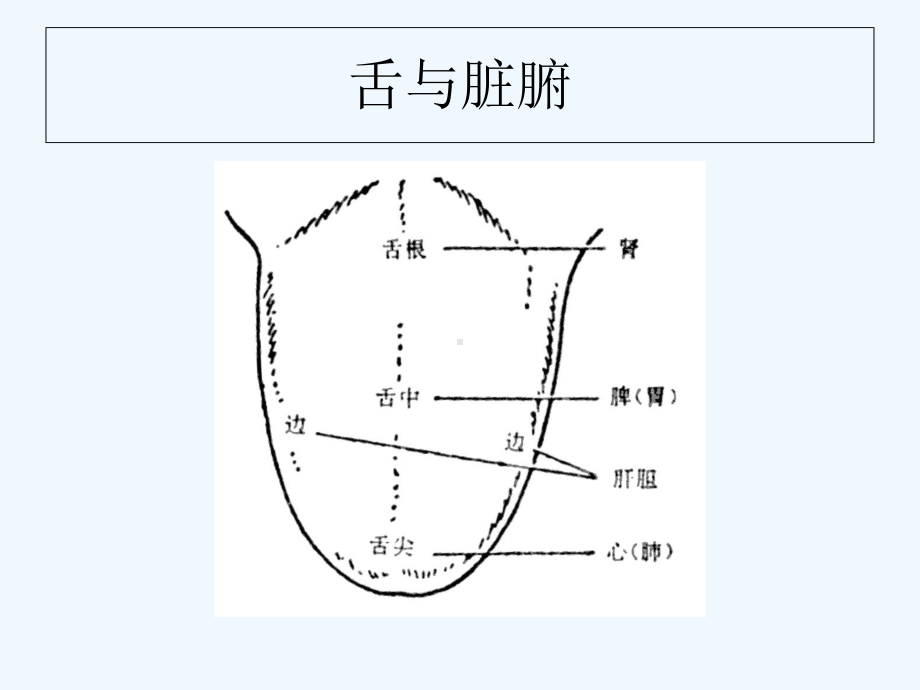 临床各种舌相大全图片详尽课件.ppt_第2页