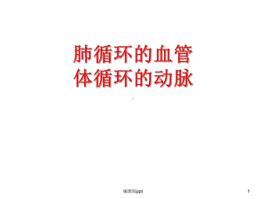 全身血管课件.ppt