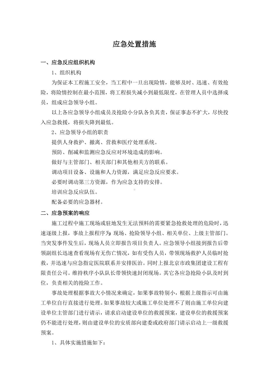 应急处置措施.docx_第1页