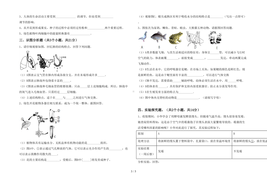 济南版七年级生物下册期末试卷及答案（汇总）(DOC 5页).doc_第3页