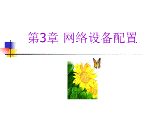 互联网应用课件.ppt