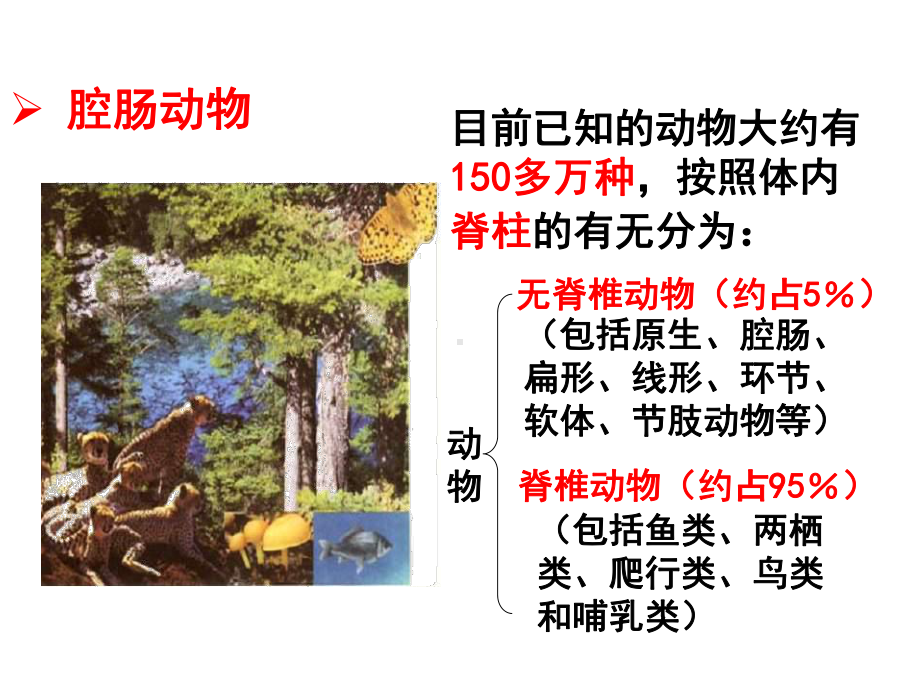 七年级生物上册-221-无脊椎动物的主要类群课件.ppt_第2页