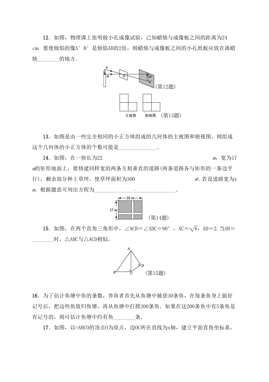 最新北师大版数学九年级上学期《期末考试题》及答案(DOC 14页).doc_第3页