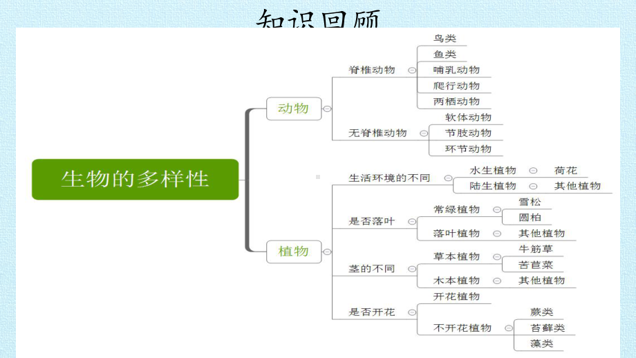 六年级上册科学课件生物的多样性复习课件教科版.pptx_第2页