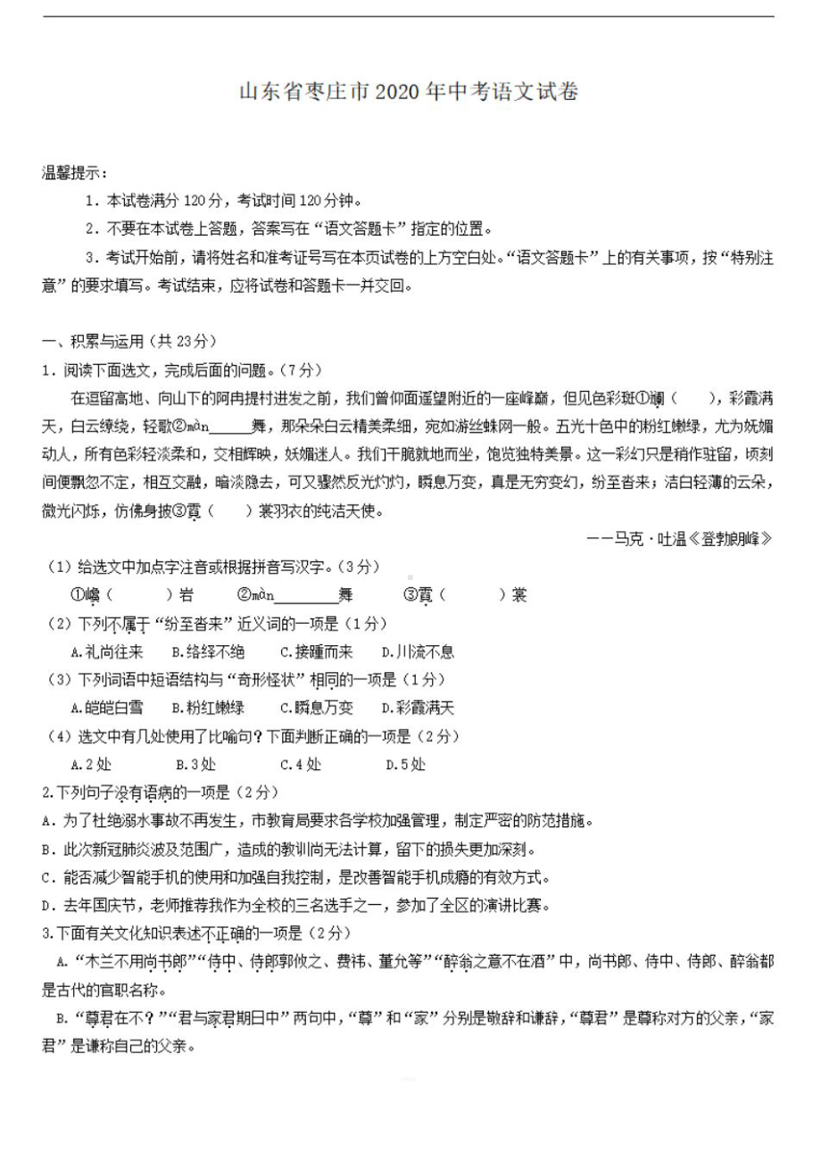 山东省枣庄市2020年中考语文试卷（解析版）-(DOC 17页).doc_第1页