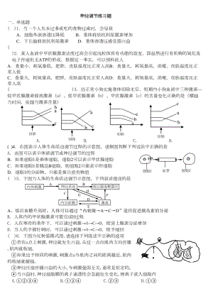 神经调节练习题(DOC 5页).doc