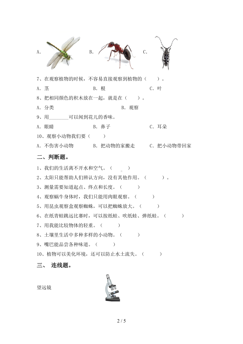 最新教科版一年级科学下册期末测试卷(完整)(DOC 5页).doc_第2页