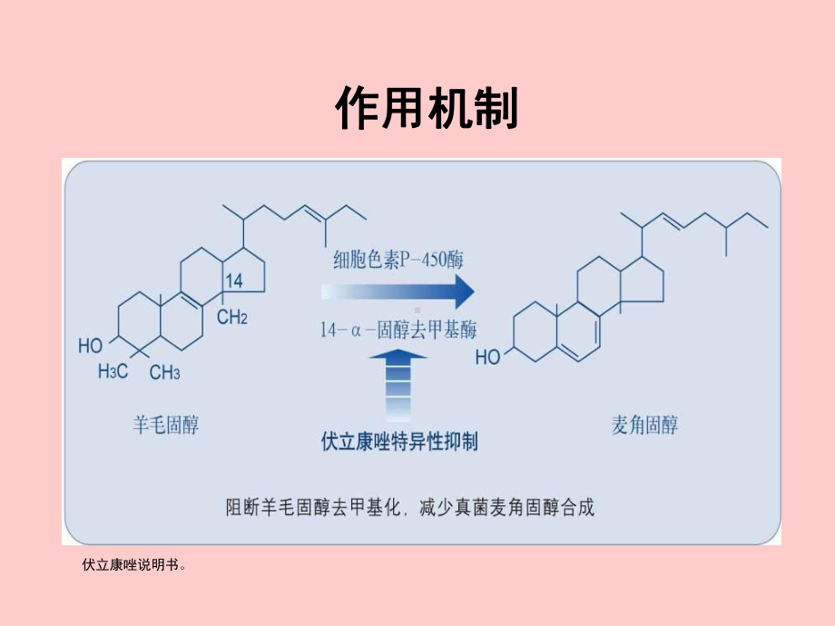 伏立康唑丽福康产品知识培训精简课件.ppt_第3页