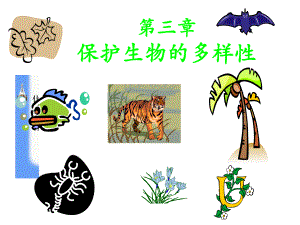 八年级上册《保护生物的多样性》课件.ppt