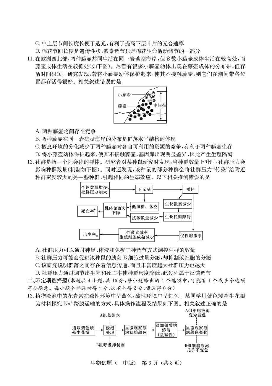 湖南省长沙某中学2021届高三月考(八)生物试题(含答案解析)(DOC 10页).docx_第3页