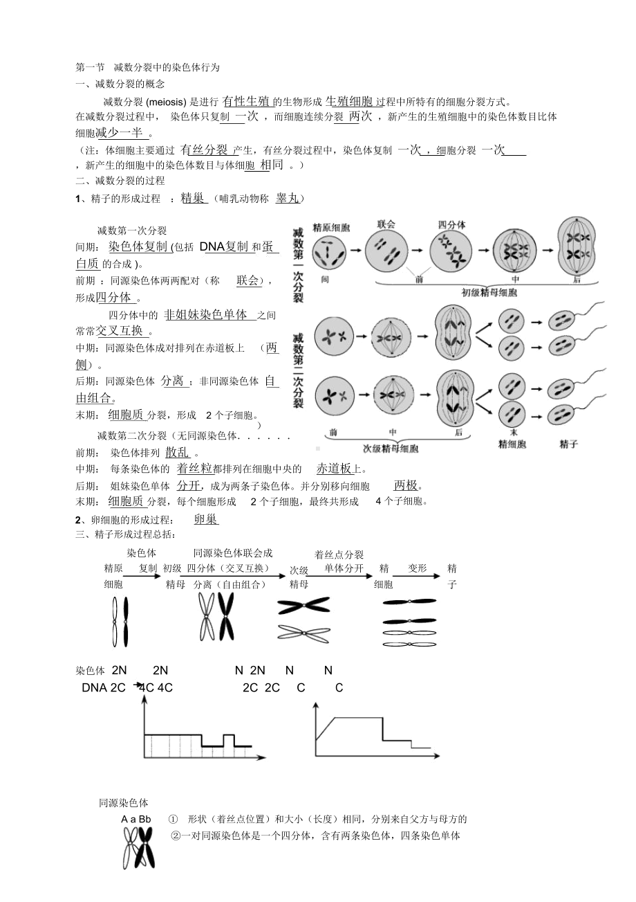 浙科版生物必修二知识点总结(DOC 13页).docx_第3页