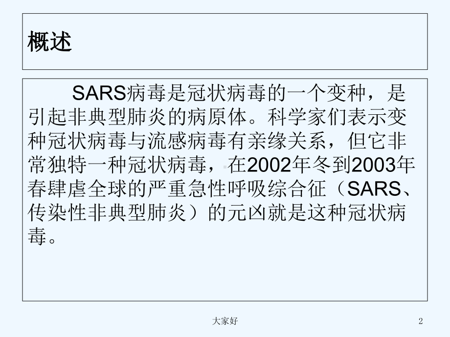 SARS病毒-教学讲解课件.ppt_第2页