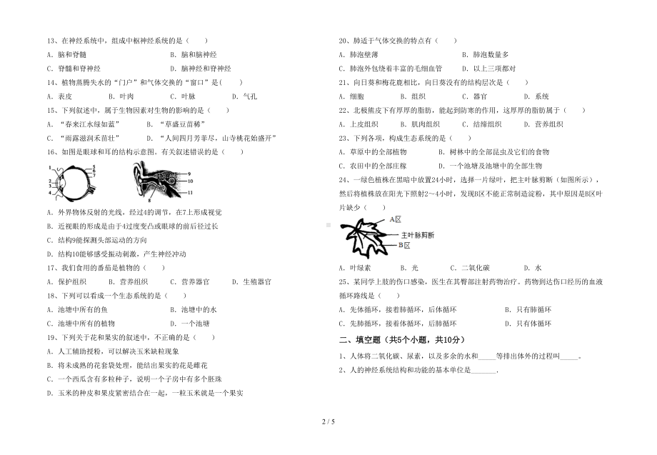 新人教版七年级下册《生物》期末测试卷及答案（完整版）(DOC 5页).doc_第2页