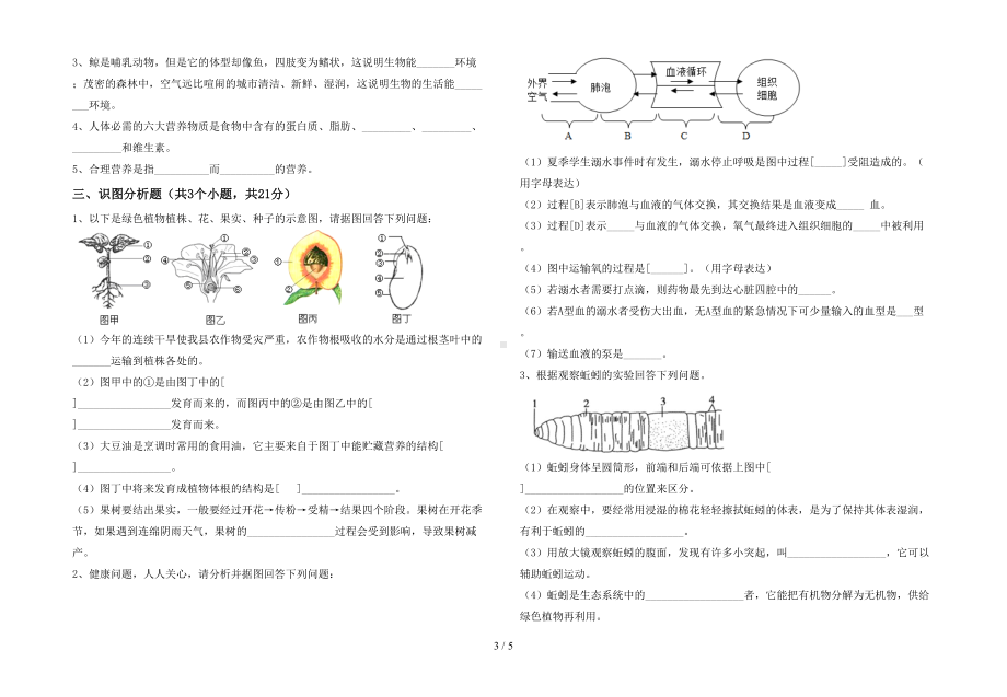 新人教版七年级下册《生物》期末测试卷及答案（完整版）(DOC 5页).doc_第3页