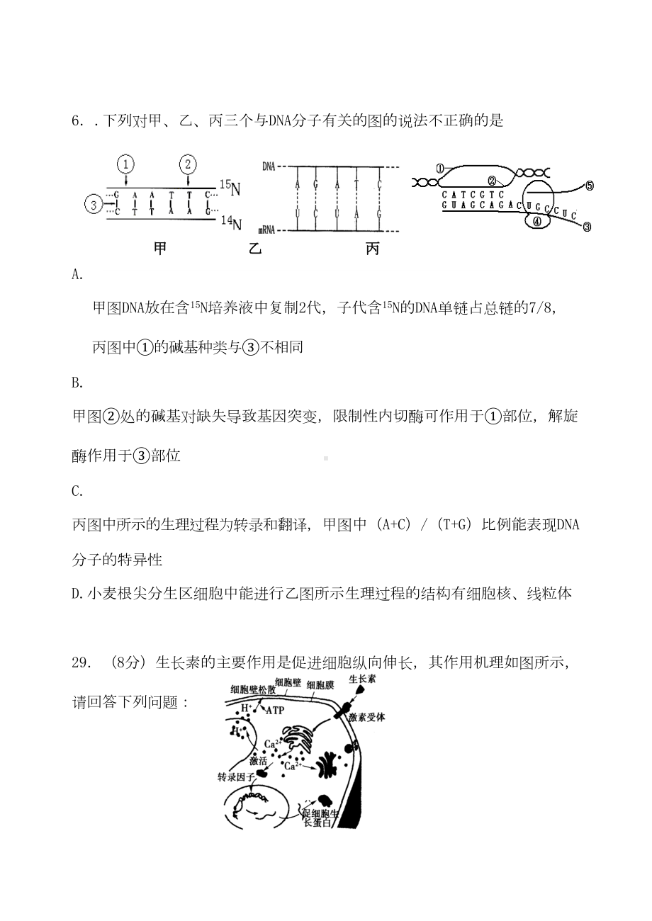 理综生物试题(DOC 11页).doc_第3页