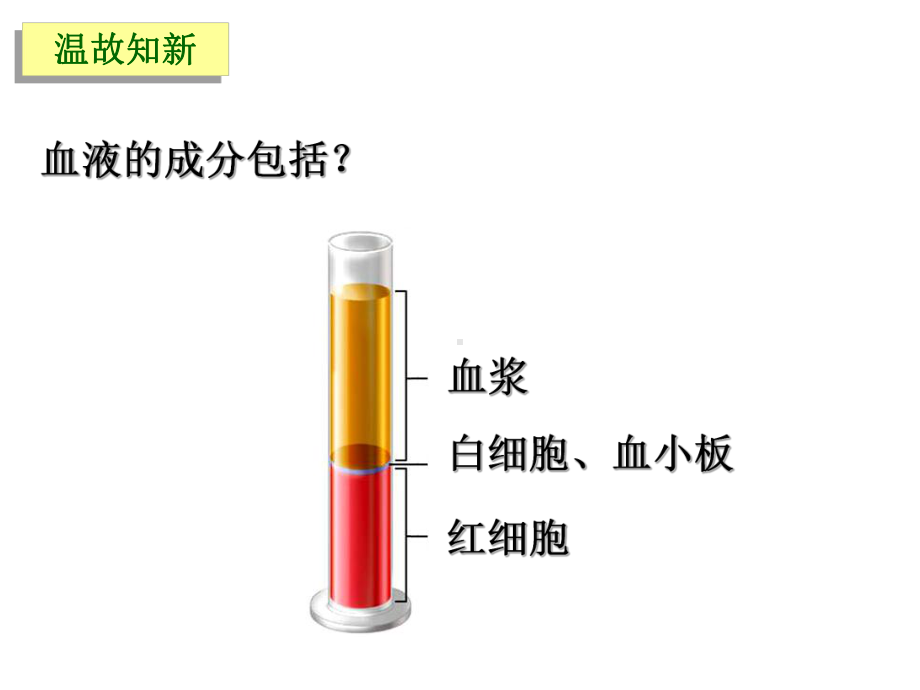 2血量血型课件.pptx_第3页