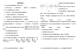 细胞增殖练习题及答案(DOC 4页).docx