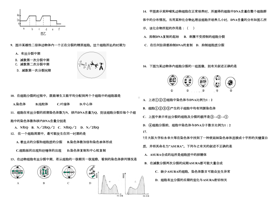 细胞增殖练习题及答案(DOC 4页).docx_第2页