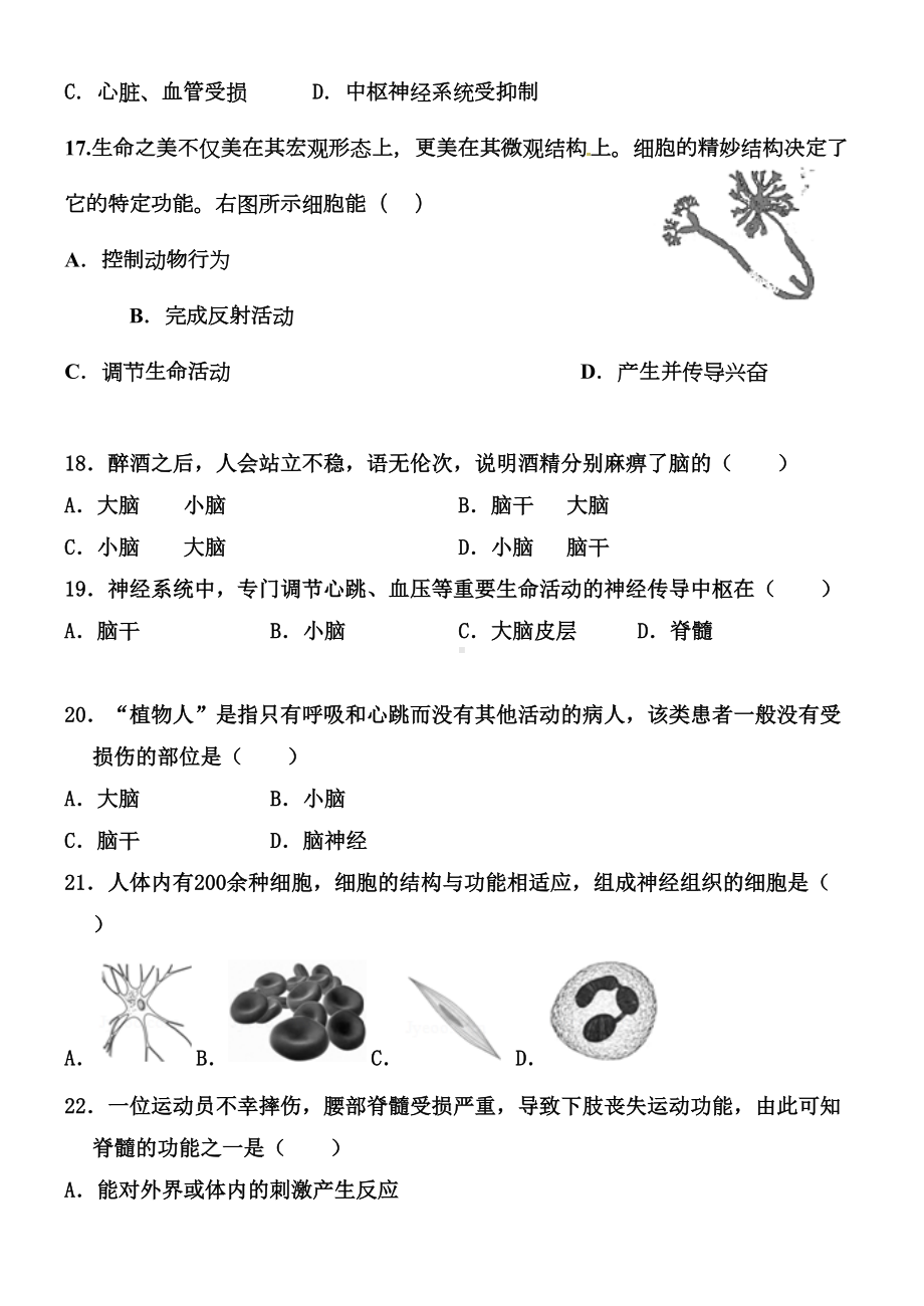 神经调节的结构基础(练习题及答案)(DOC 11页).docx_第3页