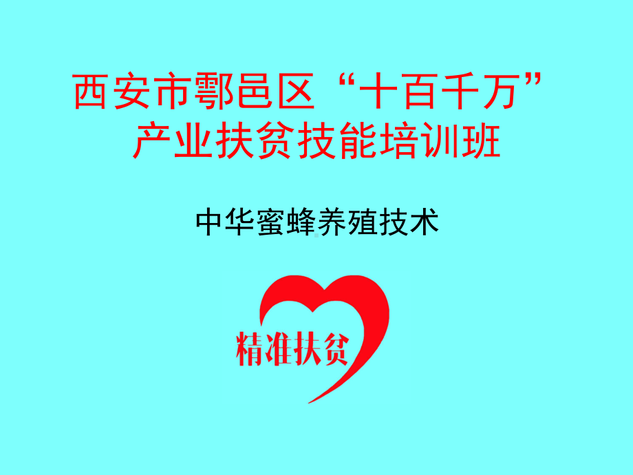 中华蜜蜂养殖技术-课件.ppt_第1页