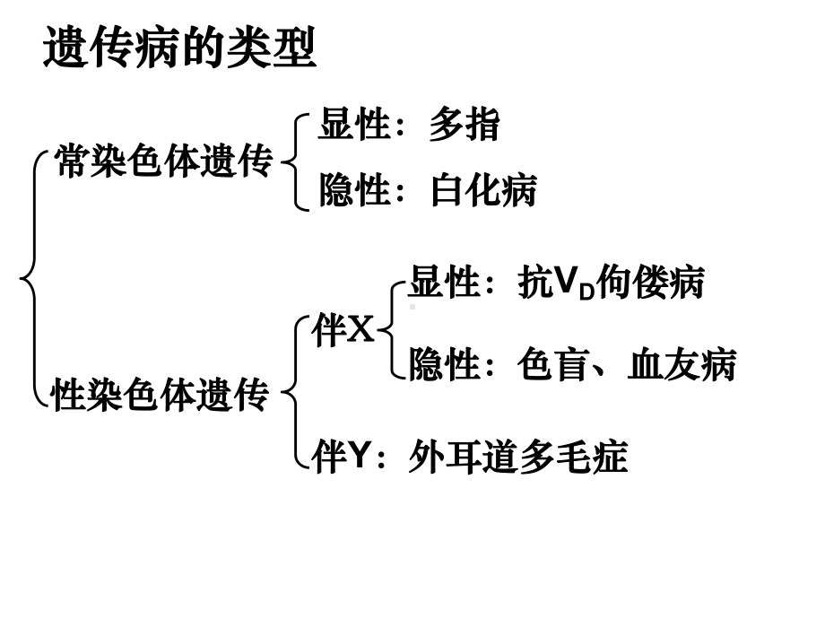 伴X染色体隐性遗传病E课件.ppt_第1页