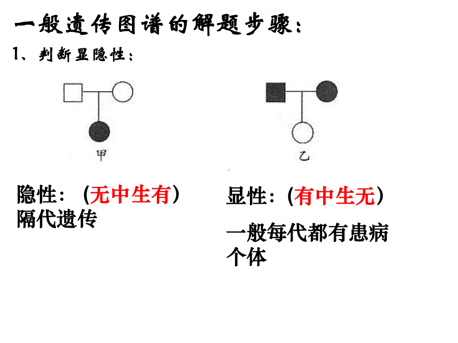 伴X染色体隐性遗传病E课件.ppt_第2页