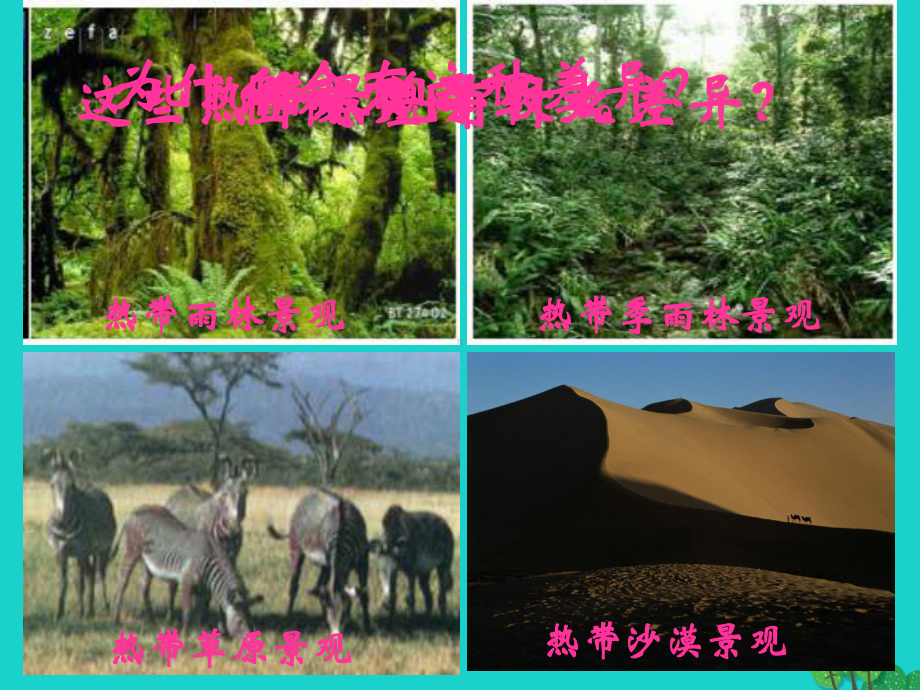 七年级地理上册-第四章-第四节-世界主要气候类型湘教版课件.ppt_第3页