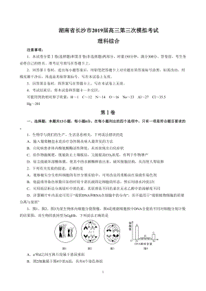 湖南省长沙市2019届高三第三次模拟考试-理科综合试题(DOC 27页).doc