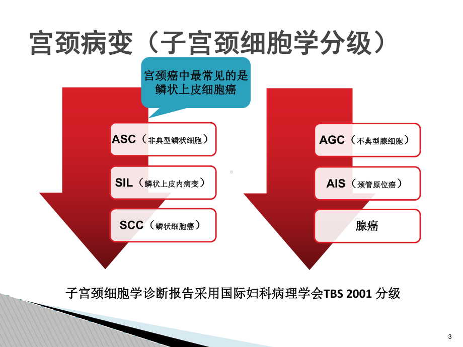 LEEP刀与宫颈疾病课件.pptx_第3页