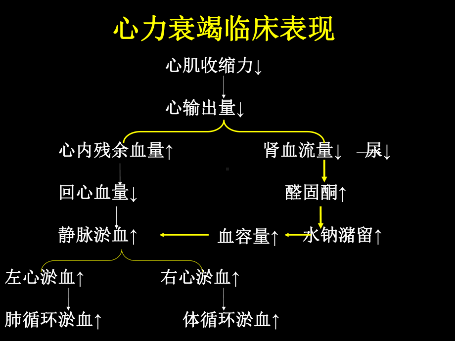 PowerPoint-演示文稿-内蒙古民族大学课件.ppt_第3页