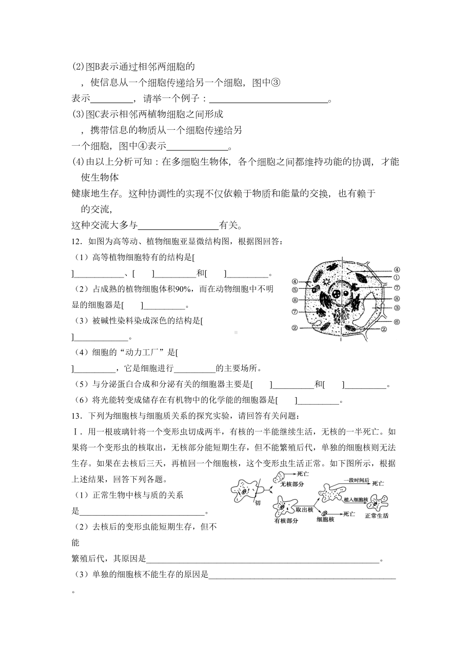 细胞的基本结构检测试题(DOC 10页).doc_第3页