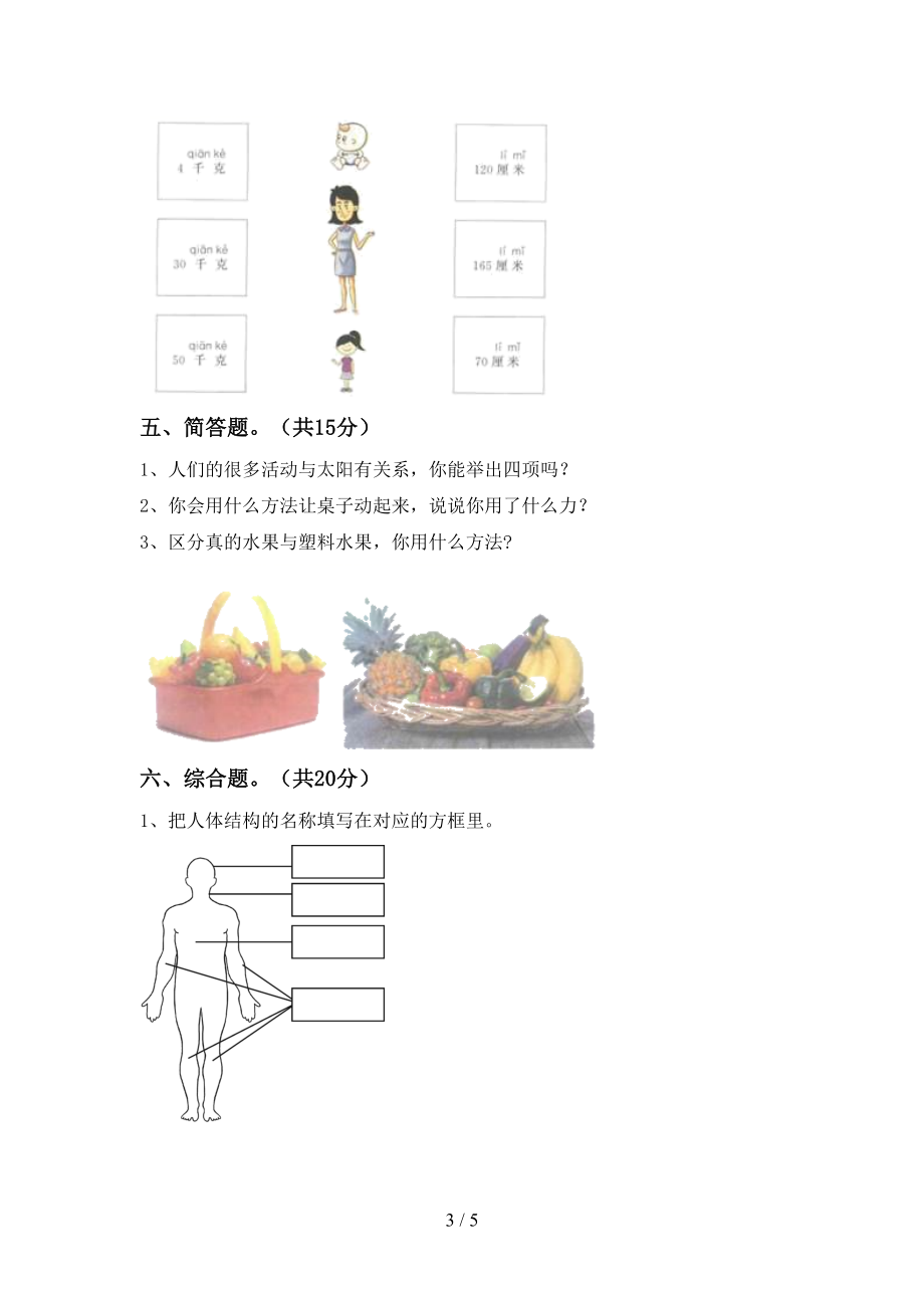 教科版二年级科学下册期末测试卷(新版)(DOC 5页).doc_第3页