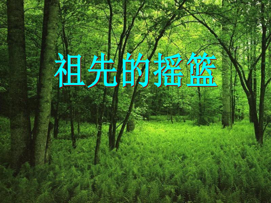 《祖先的摇篮》-课件.ppt_第1页