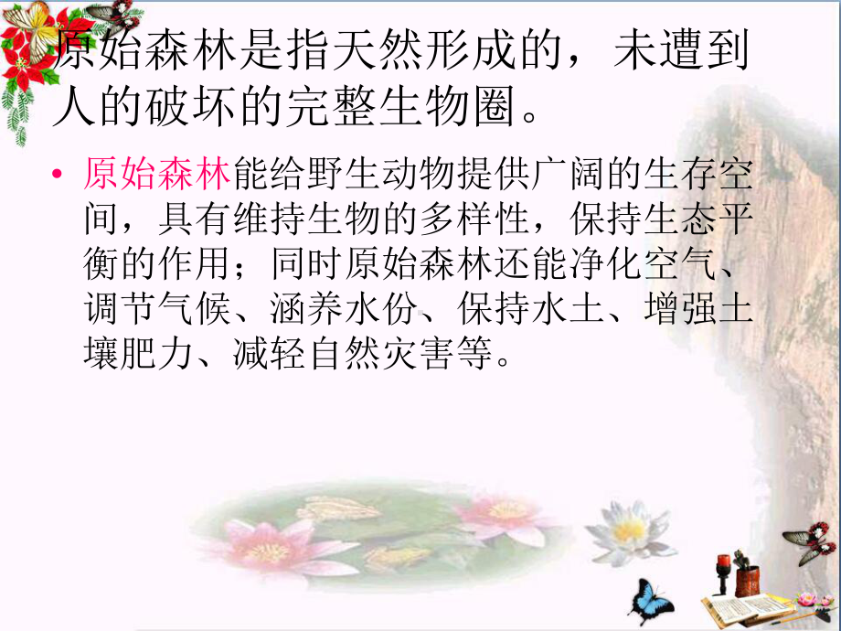 《祖先的摇篮》-课件.ppt_第3页