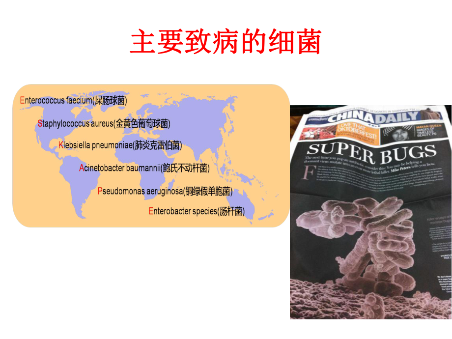 CRE的流行分布及耐药机制课件.ppt_第2页