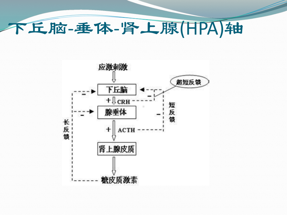 ICU常见内分泌系统疾病课件.ppt_第2页