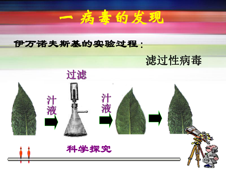 上课八年级上生物病毒课件.ppt_第2页