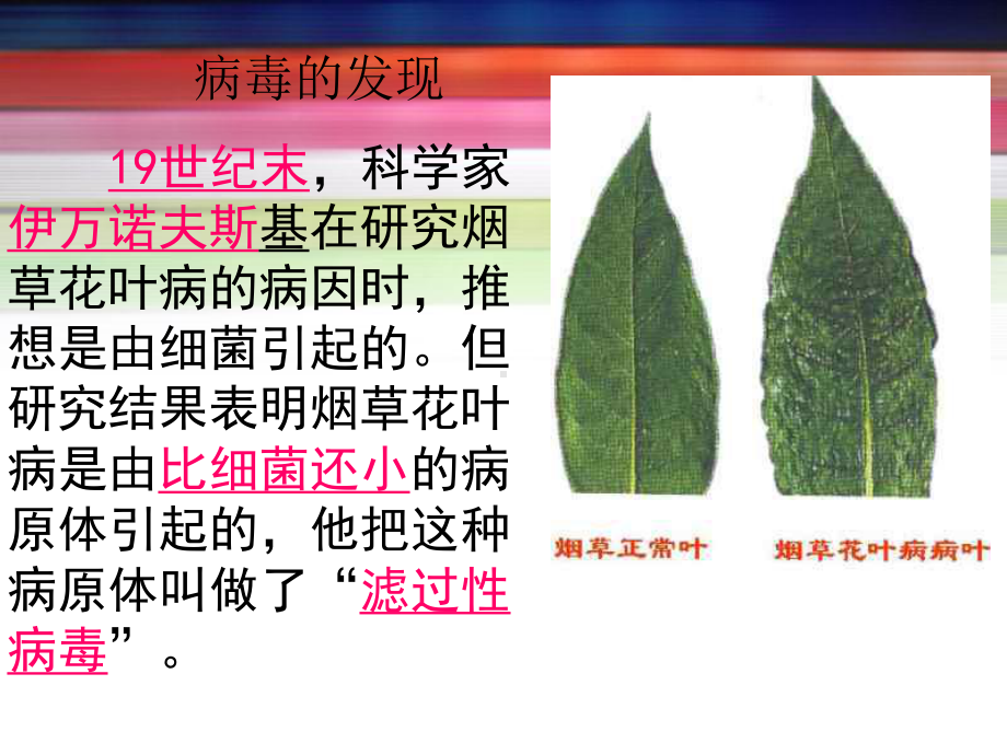 上课八年级上生物病毒课件.ppt_第3页