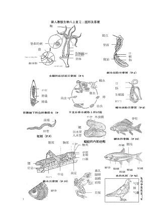 新人教版八年级生物上册复习资料：图形填空及答案(DOC 5页).doc