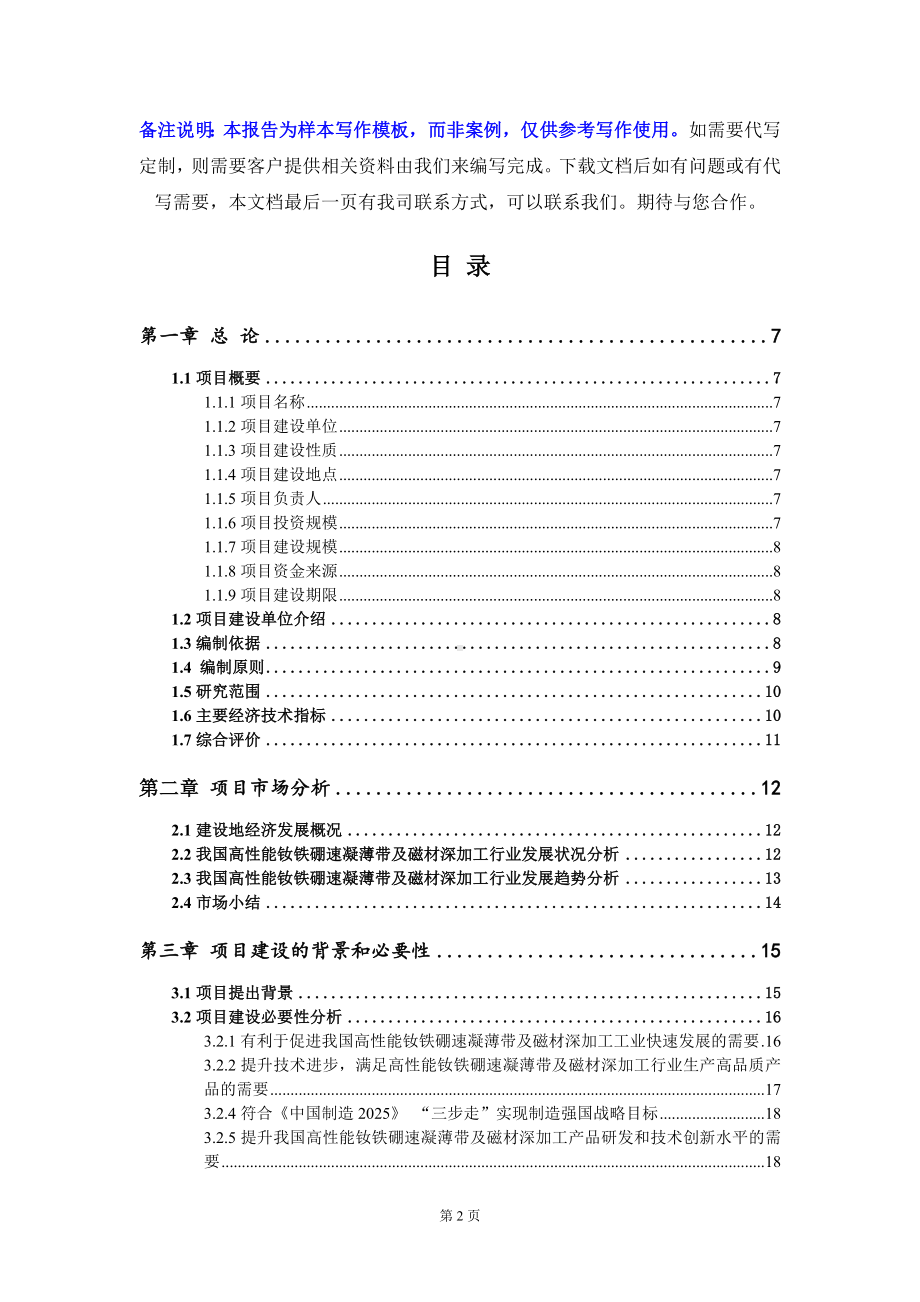 高性能钕铁硼速凝薄带及磁材深加工项目可行性研究报告写作模板定制代写.doc_第2页