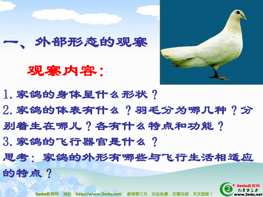 七年级生物鸟类课件.ppt_第3页