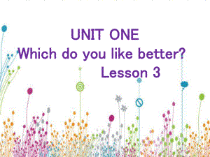 五年级上册英语UNIT-ONE-WHICH-DO课件.ppt