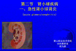 临床医学概要20急性肾炎课件.ppt