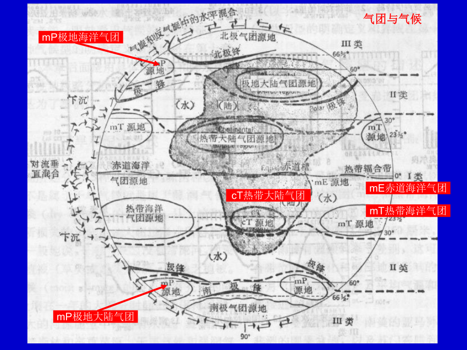 世界植被分布规律与植被区划课件.pptx_第3页