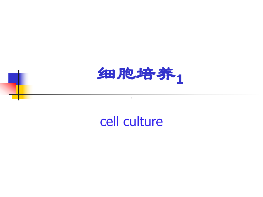 VERO细胞培养解读课件.ppt_第1页