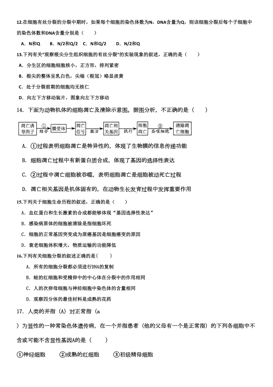 细胞的生命历程试题(DOC 13页).doc_第3页