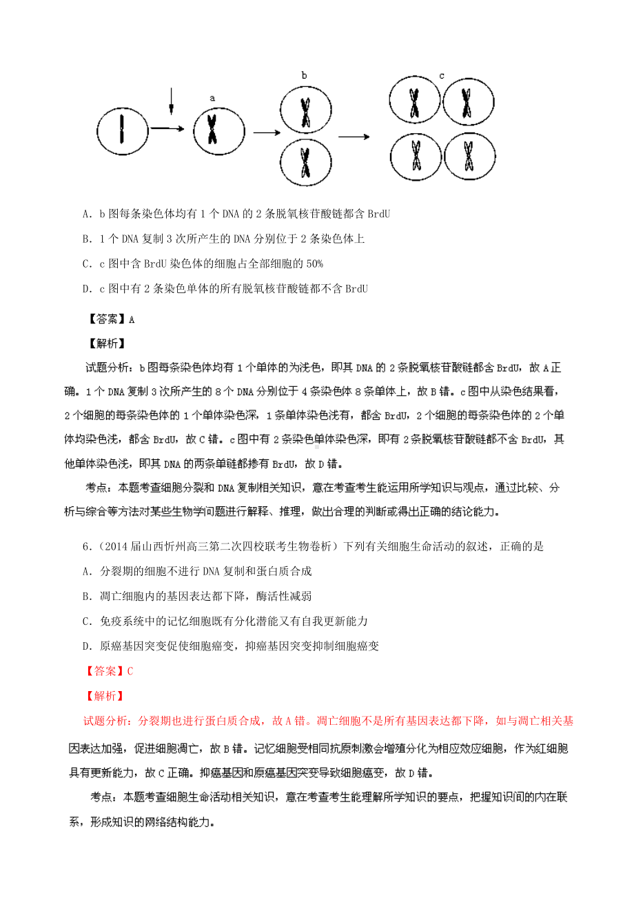 细胞的生命历程与遗传的细胞学基础.doc_第3页