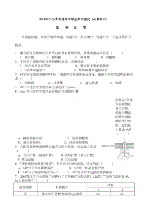 江苏省学业水平测试生物试卷含答案(DOC 9页).doc